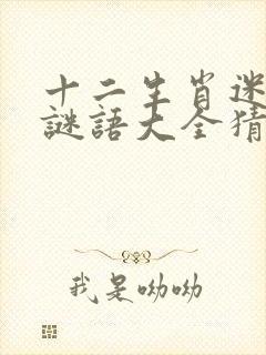 十二生肖迷大全谜语大全猜谜大全封面