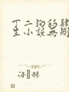 丁二狗的肆意人生小说无删减txt