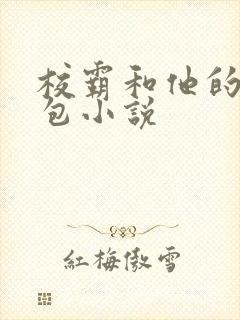 校霸和他的小哭包小说封面