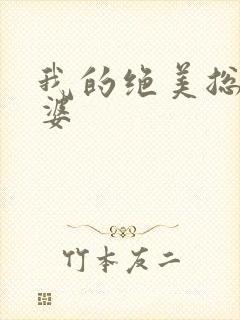 我的绝美总裁老婆