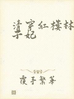 清穿红楼林家太子妃