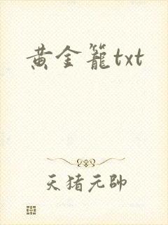 黄金笼txt