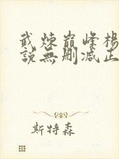 武炼巅峰杨开小说无删减正版在线阅读