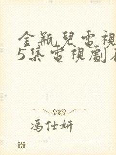 金瓶儿电视剧第5集电视剧在线观看封面