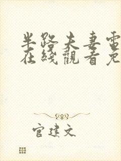 半路夫妻电视剧在线观看免费高清