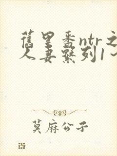 旧里番ntr之人妻系列1～3封面