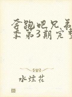 奔跑吧兄弟第5季第3期完整版