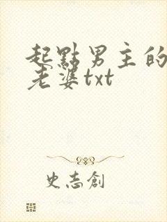 起点男主的笨蛋老婆txt