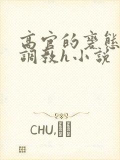 高官的变态玩弄调教h小说