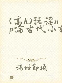 (高h)玩淫np伦古代小说