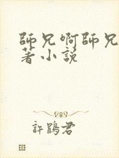 师兄啊师兄的原著小说