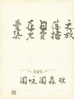 爱在日落之前全集免费播放