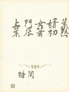 上门女婿叶辰 叶辰萧初然531