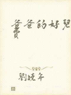 爸爸的好儿子免费封面