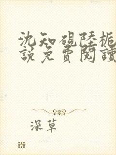 沈知砚陆栀夏小说免费阅读最新章节封面