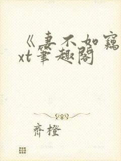 《妻不如窃》txt笔趣阁