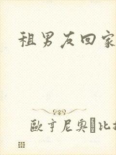 租男友回家过年