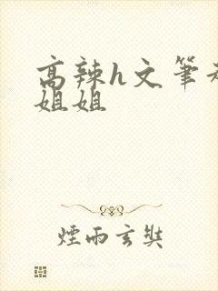 高辣h文笔趣阁姐姐封面