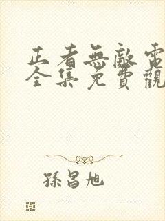 正者无敌电视剧全集免费观看