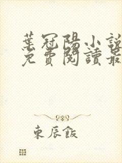 叶冠阳小说全文免费阅读最新章节