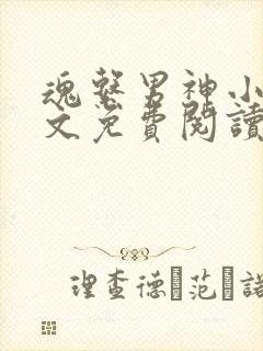 魂系男神小说全文免费阅读无弹窗