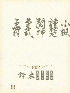 免费阅读小说修罗武神楚枫封面