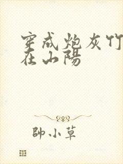 穿成炮灰竹马妾在山阳