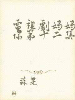 电视剧妈妈在等你第十二集封面