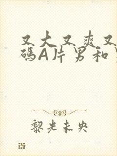 又大又爽又黄无码A片男和男封面