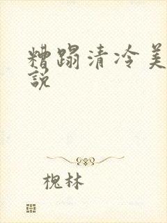 糟蹋清冷美人小说封面