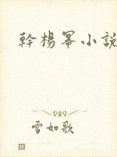 干杨幂小说封面