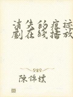 消失的痕迹电视剧在线播放免费完整版