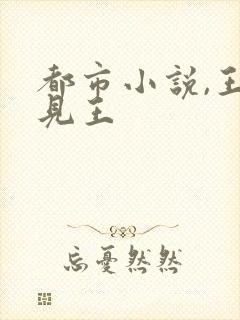 都市小说,王不见王