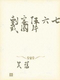 刺客伍六七只玄武国片