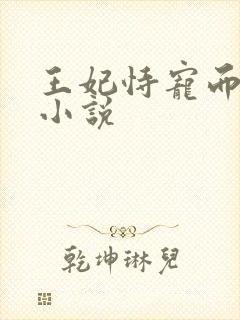 王妃恃宠而骄的小说封面