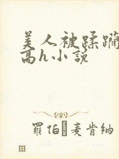 美人被蹂躏古代高h小说封面