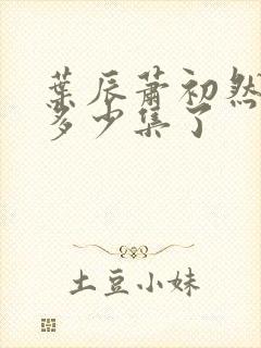 叶辰萧初然更新多少集了