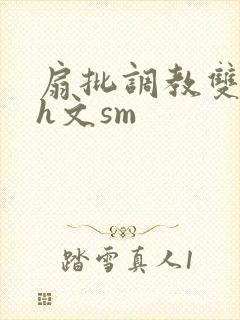 扇批调教双性高h文sm