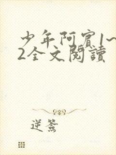 少年阿宾1~72全文阅读