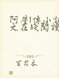 阿庆l传小说全文在线阅读封面