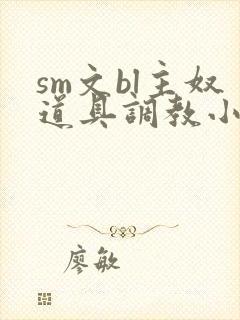 sm文bl主奴道具调教小说