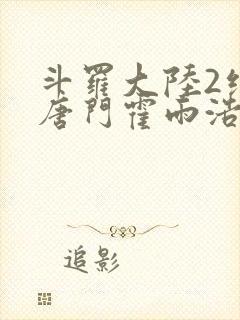 斗罗大陆2绝世唐门霍雨浩小说