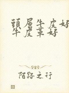 头层牛皮好还是牛皮革好