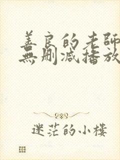 善良的老师hd无删减播放地址