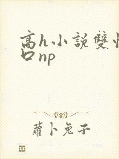 高h小说双性重口np