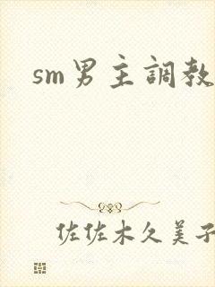 sm男主调教文