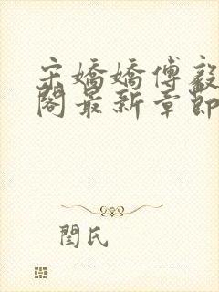 宋娇娇傅毅笔趣阁最新章节