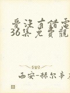 爱没有错电视剧36集免费观看剧情