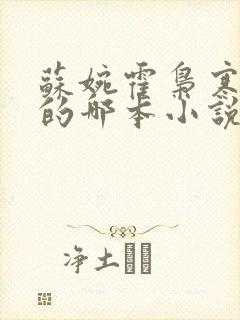 苏婉霍枭寒模仿的哪本小说