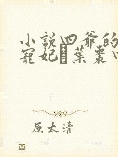 小说四爷的心尖宠妃·叶枣四爷全篇封面